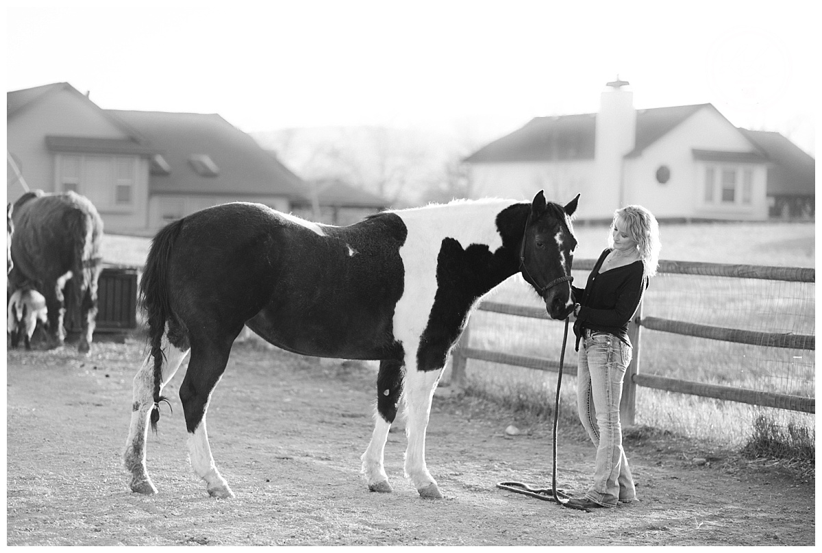 Denver Horse Photography