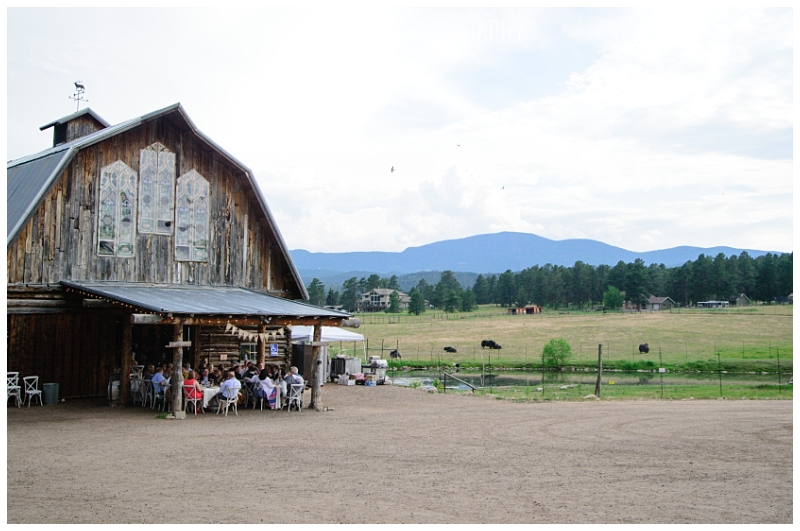 The Barn at Evergreen Memorial Park Wedding 
