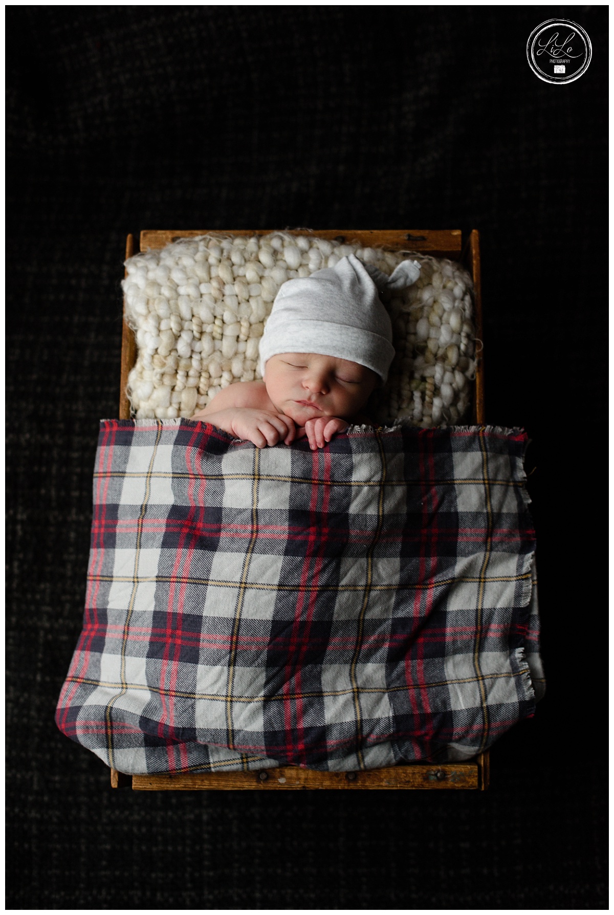 Denver newborn Photographer
