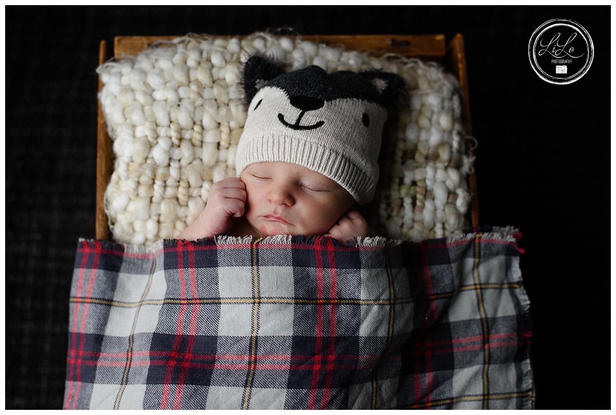 Denver newborn Photographer