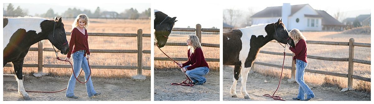 Denver Horse Photography