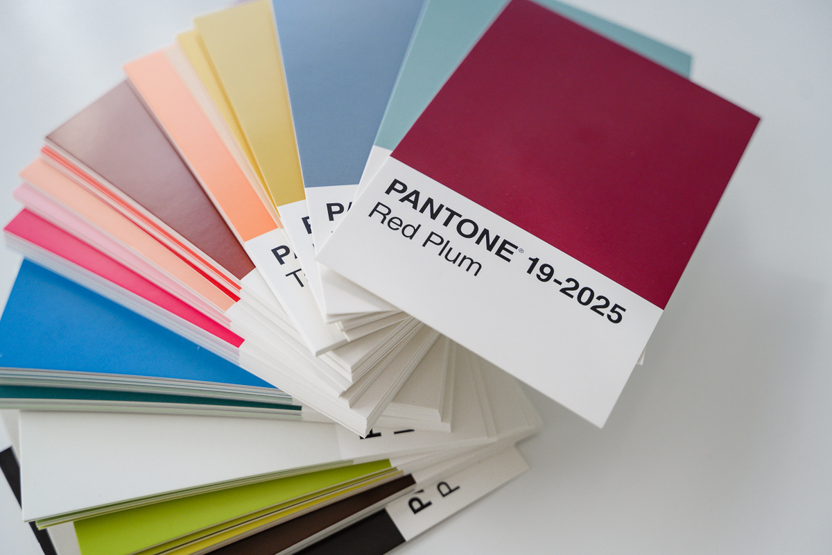 branding coach has pantone cards for branding colors